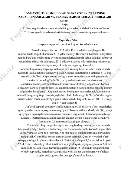 pomidor kuyasi — DOCX