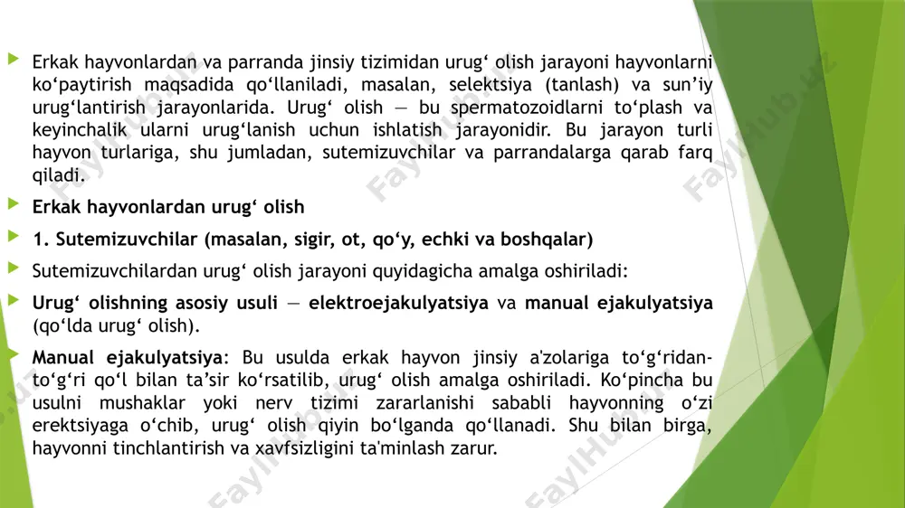 rayoni ancha osonroq, chunki ular odatda tashqi jinsiy aloqada urug‘lanishni amalga oshiradilar. urug‘ olishda asosan erkak parranda (tuxumdon) spermasi oladi. urug‘ olishning asosiy usuli — manual ejakulyatsiya va ba’zan kamarli (seminar) pufakchalar orqali urinadigan usul. manual ejakulyatsiya: parrandalarda, masalan, tovuqlar va boshqa qushlardan urug‘ olishda, erkak parranda jinsiy organiga qo‘lda siqish usuli qo‘llaniladi. bu usulda o‘zgartirilgan stimulyatsiya yordamida urug‘ olish amalga oshiriladi. to‘g‘ri va ehtiyotkorlik bilan bajarilganida, bu usuldan samarali foydalanish mumkin. urug‘ni saqlash: qushlardan olingan urug‘ni uzoq muddat saqlash uchun maxsus usullar, jumladan, kriyokonservatsiya yordamida (suyuqlik azotda saqlash) saqlash mumkin. urug‘ni saqlash uchun mos harorat va sharoitlar zarur, chunki bu urug‘ning hayotiyligini saqlashga yordam beradi. 3. urug‘ni saqlash va ishlatish sutemizuvchilar va parrandalardan olingan urug‘ni saqlashda eng muhim omil — spermatozoidlarning hayotiyligini saqlashdir. spermatozoidlar uchun maxsus konservantlar qo‘llaniladi, va saqlash jarayoni odatda quyidagi tartibda amalga oshiriladi: suyuqlik azotida saqlash (kriyokonservatsiya): bu metod spermatozoidlarning sifatini saqlab qolishga yordam beradi va …