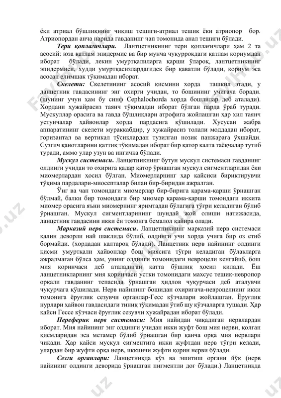 'rnashgan. gavdasining oldingi uchida pastga qarab turadigan, qamrag'ichlar bilan o'ralgan katta og'iz oldi teshigi bor. bu teshikning orqasida gavda pastki bo'lagining ikki yon tomonida bir-biriga parallel o'rnashgan ikkita metaplevral burma bor, bu burmalar gavdaning orqa uchidan ancha berida bir-biriga qo'shilib ketadi. bu burmalar qo'shilgan joyda jabra oldi bo'shlig'i yoki atrial bo'shliqning chiqish teshigi-atrial teshik yoki atriopor bor. atriopordan ancha narida gavdaning chap tomonida anal teshigi bo'ladi. teri qoplag'ichlari. lanttsetnikning teri qoplag'ichlari ham 2 ta asosiy: yuza qatlam epidermis va bir muncha chuqurroqdagi qatlam koriumdan iborat bo'ladi, lekin umurtqalilarga qarshi o'laroq, lanttsetnikning epidermisi, xuddi umurtqasizlardagidek bir qavatli bo'ladi, korium esa asosan elimshak to'qimadan iborat. skeleti: skeletining asosiy qismini xorda tashkil etadi, u lantsetnik gavdasining eng oxirgi uchidan, to boshining uchigacha boradi. (shuning uchun ham bu sinf cephalochorda xorda boshlilar deb ataladi). xordani hujayrasiz tayanch to'qimadan iborat bo'lgan parda o'rab turadi. muskullar orasiga va gavda bo'shliqlari atrofiga joylashgan har xil tayanch ustunchalar …