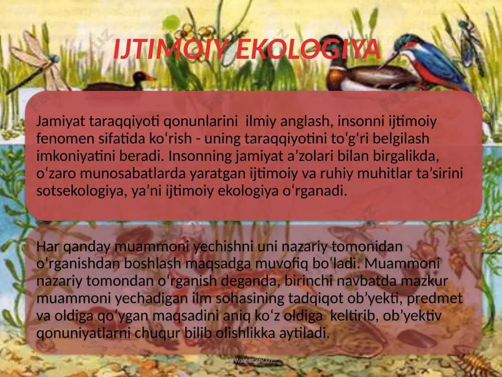 chalaydi. bu moddalar uz navbatida tabiatga kaytariladi va autotroflar tomonidan yana moddalar davriy aylanishga jalb kilinadi. www.arxiv.uz biosenoz kuyidagi asosiy tarkibiy kisimlardan tashkil topadi :1 – produtsenlar (xosil kiluvchilar ); 2-radutsenlar yoki destruktorlar ( istemol kiluvchilar ); 3-redutsentlar yoki destroktorlar (parchalovchilar ) reduntsenlar – xam gtorop roflar xisoblanadi. ular asosan mikrorganizimlardan tashkil topib xayvon va usimliklarning ulik tanasini parchalab organik moddalarni oddiy organik moddalarni oddiy organik moddalarga parchalaydi. arganik moddalarning kup kismi darxol parchalanmay, yogoch, tuproging organik kismi chukmalar sifatida saklanadi. bu organik moddalar kup ming yillar davomida saklanib, kazilma yokilgiga (torf, kumir va neft, ) aylanadi. xar yili erda fotosintezlovchi organizmlar 100 mlrd. t ga yakin organik moddalarni sintezlaydi. geologik davr (1 mlrd. yil) davomida organik moddalar parchalanishiga kura kuprok sintezlaydi. geologik davr (1 mlrd. yil) davomida organik moddalar parchalanishiga kura kuprok sintezlanishi natijasidaatmosferada so2 ning mikdori kamayib o2 mikdorining ortishiga olib keldi. xx asrning ikkinchi yarmida sanoat va …