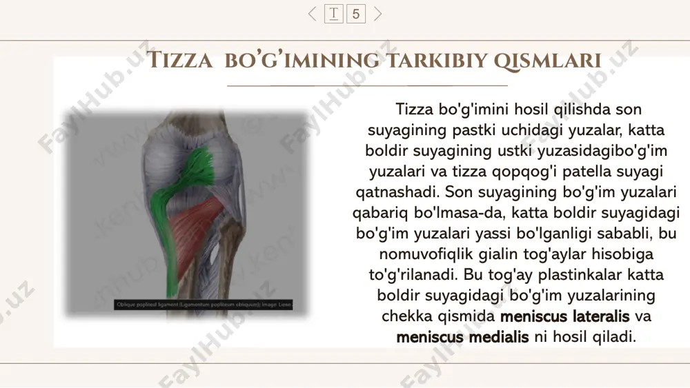 tizza bo'g'imi va oyoqning erkin suyaklari birlashuvi - Page 5