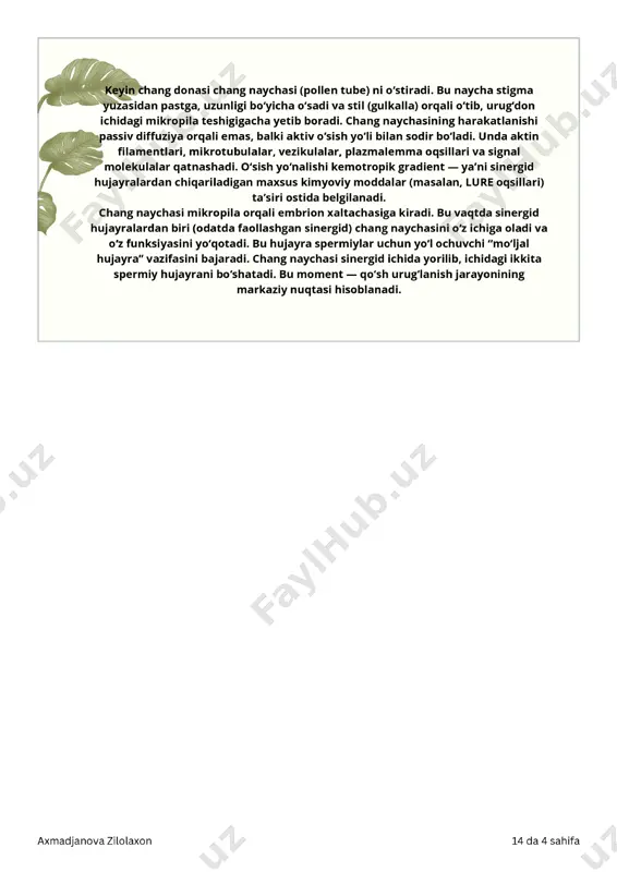 botanika fanidan tayyorlangan kurs ishi - Page 4