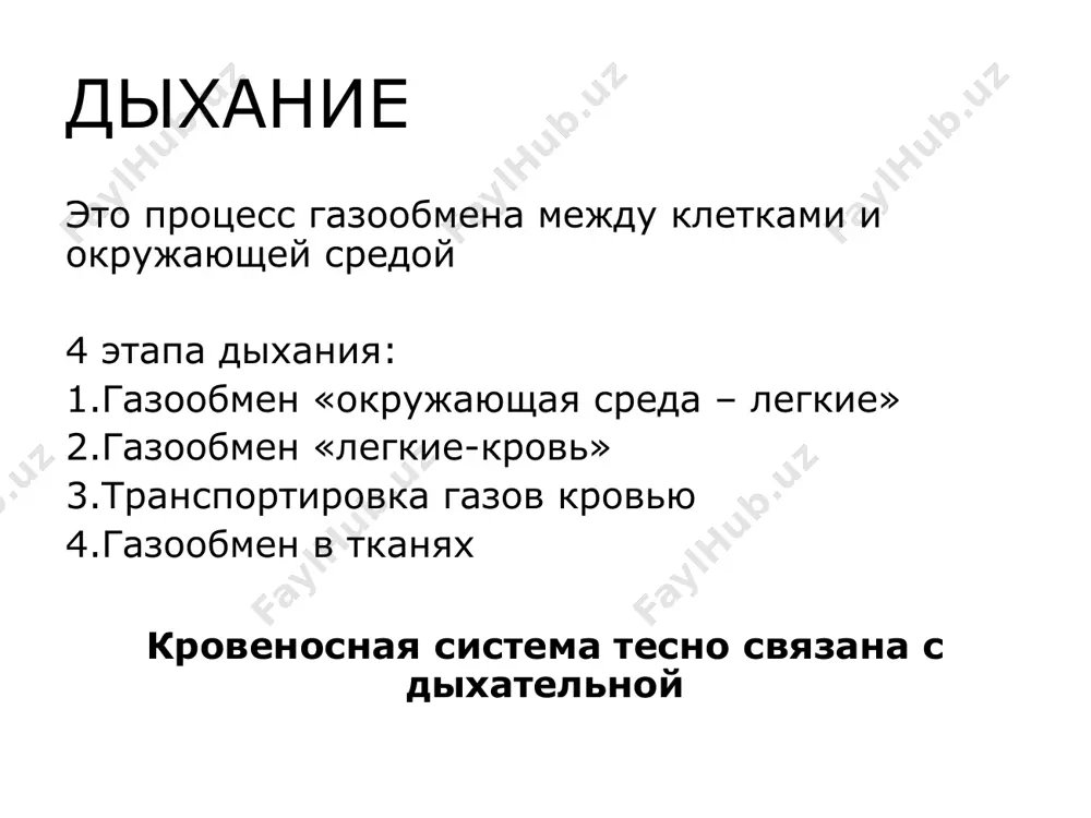 ряжения и от длины голосовых связок. у мужчин гортань крупнее (образует «кадык»), голосовые связки длиннее и голос ниже. чем длиннее голосовые связки, тем ниже голос. гортань отделяет пищеварительный путь от дыхательного при глотании при проглатывании пищи гортань приподнимается, а надгортанник опускается, закрывая вход в гортань. мягкое небо в этот момент перекрывает пище путь в носовую полость. в этот момент происходит задержка дыхания трахея и бронхи гортань продолжается в трахею - трубку длиной 10—15 см у взрослых. скелет трахеи состоит из 16— 20 хрящевых полуколец, препятствующих спадению ее стенок. хрящевые полукольца связаны между собой эластичной соединительной тканью. мягкая задняя стенка трахеи из соединительной ткани сращена со стенкой пищевода. отсутствие в ней хрящевой ткани не препятствует прохождению пищевого комка по пищеводу. на уровне iv-v грудного позвонка трахея делится на правый и левый бронхи. оба бронха по строению напоминают трахею, но образованы хрящевыми кольцами, препятствующими спадению их стенок. место разветвления трахеи называется бифуркацией …