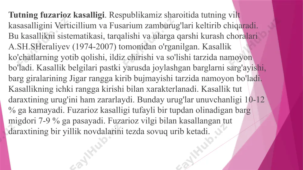 fuzarioz kasalligi - Page 4