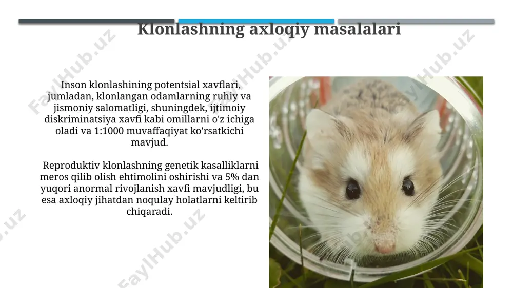 ethical issues in science and technology: cloning, animal experimenting - Page 3