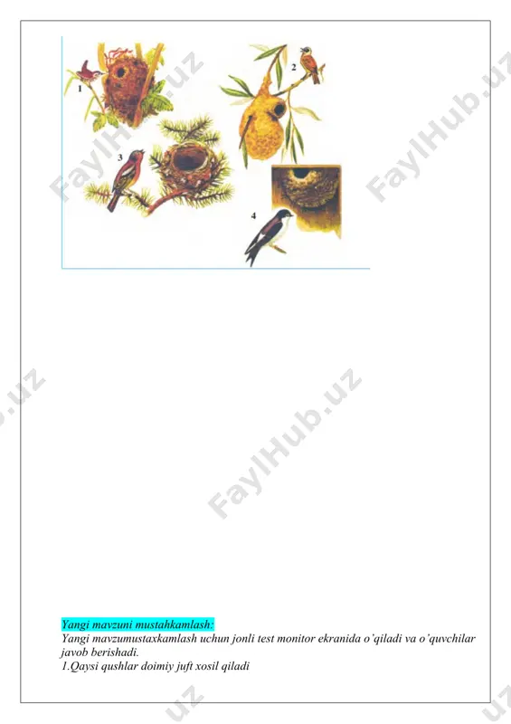 dars ishlanmasi "qushlarning ko`payishi va rivojlanishi" - Page 3
