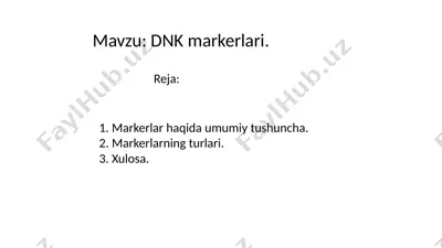 dnk markerlari — PPTX