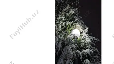 o'quv tajriba maydonchasi va tirik tabiat burchagi — PPTX