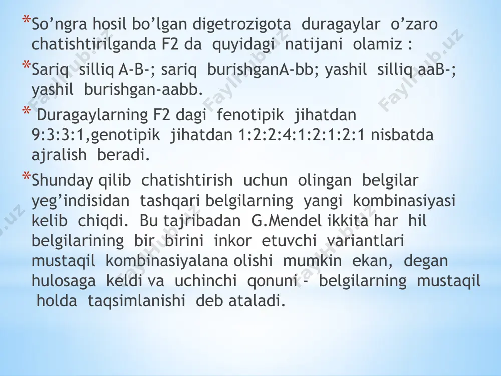 heklanmagan novvot aabb cheklanmagan qo’ng’ir aabb cheklangan novvot aabb cheklangan qo’ng’ir 10 javob va izox 3 ta cheklanmagan oq 6ta cheklanmagan novvot 1ta cheklangan oq 2ta cheklangan novvot 3ta cheklanmagan qo’ng’ir 1ta cheklangan qo’ng’ir 2). f1da olingan o’simliklar cheklangan shohli va oq tolali o’simliklar bilan chatishtirilsa , keyingi avlodda olingan o’simliklarning genotipi va fenotipini aniqlang. f1da olingan o’simliklarni , oq tolali o’simliklar bilan chatishtiramiz aabb-cheklanmagan novvot aabb- cheklangan oq tolali. fen : p gen: aabb x aabb gam: | | | | | | aabb ab ab ab aabb cheklanmagan oq ab aabb cheklanmagan novvot ab aabb cheklangan oq ab aabb cheklangan novvot fen:1:1:1:1 nisbatni tashkil etadi. 2-masala odamlarda polidaktiliya va o’naqaylik dominant belgilardir. otasi 6 barmoqli , onasi har ikkala belgiga nisbatan sog’lom oiladan chapaqay va barmoqlari soni normal bola tug’ildi. bu oilada yana qanday fenotipli bolalar tug’ilishi mumkin? javob aabb- polidaktiliya chapaqay aabb – sog’lom o’naqay fen: p …