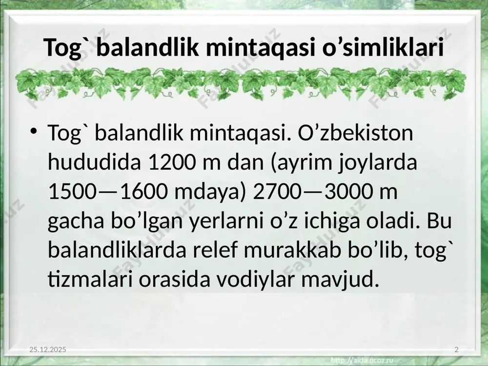 o’zbekiston tog` mintaqalari o’simliklari - Page 2