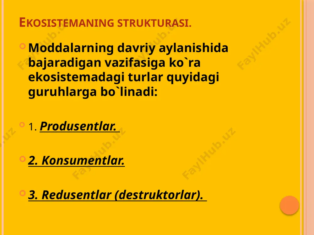 "ekotizimlarning trofik darajasi" - Page 4