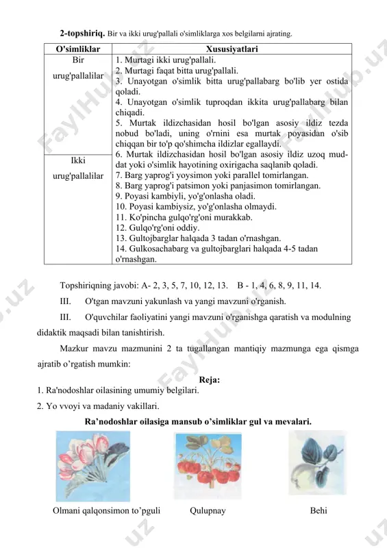 ki parallel tomirlangan. 8. barg yaprog'i patsimon yoki panjasimon tomirlangan. 9. poyasi kambiyli, yo'g'onlasha oladi. 10. poyasi kambiysiz, yo'g'onlasha olmaydi. 11. ko'pincha gulqo'rg'oni murakkab. 12. gulqo'rg'oni oddiy. 13. gultojbarglar halqada 3 tadan o'rnashgan. 14. gulkosachabarg va gultojbarglari halqada 4-5 tadan o'rnashgan. ikki urug'pallalilar topshiriqning javobi: a- 2, 3, 5, 7, 10, 12, 13. b - 1, 4, 6, 8, 9, 11, 14. iii. o'tgan mavzuni yakunlash va yangi mavzuni o'rganish. iv. o'quvchilar faoliyatini yangi mavzuni o'rganishga qaratish va modulning didaktik maqsadi bilan tanishtirish. mazkur mavzu mazmunini 2 ta tugallangan mantiqiy mazmunga ega qismga ajratib o’rgatish mumkin: reja: 1. ra'nodoshlar oilasining umumiy belgilari. 2. yo vvoyi va madaniy vakillari. ra’nodoshlar oilasiga mansub o’simliklar gul va mevalari. olmani qalqonsimon to’pguli qulupnay behi na’matak. 1-guli shohchasi. gilos mevasi 2- mevasi. 3-gulini tik kesmasi. shu modul asosida modul dasturi tuziladi. modul dasturining didaktik maqsadi. siz modul dasturi yordamida mustaqil ishlab ra'nodoshlar oilasining o'ziga xos …