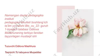 namangan davlat pedagogika instituti — PPTX
