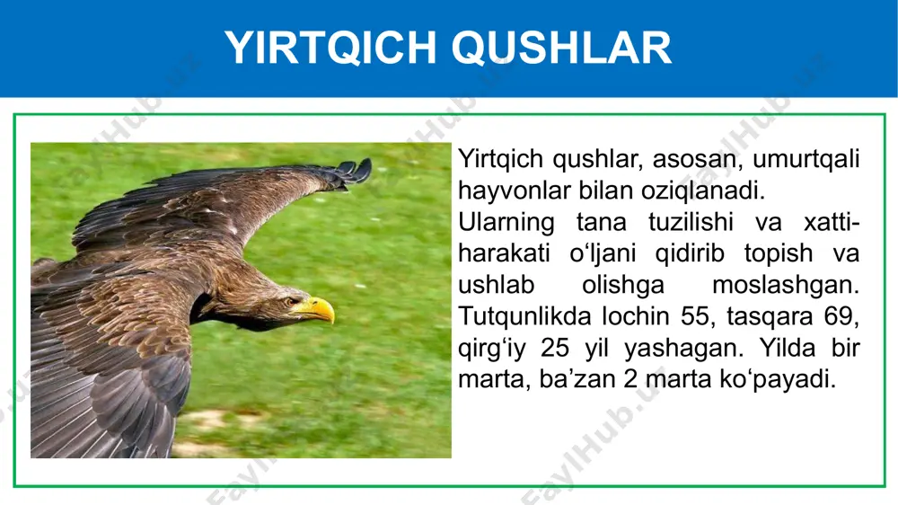 h kunlari mayda qushlar uchun daraxt shoxlari orasiga donxo‘raklar o‘rnatilib, don-dunlar sepib qo‘yiladi. mustaqil bajarish uchun topshiriqlar: qushlarning nomini ayting mustaqil bajarish uchun topshiriqlar: rasmda qanday jarayon yoritilgan? mustaqil bajarish uchun topshiriqlar: 1. darslikning 162-, 165-sahifalarini o‘qish. 2. mavzu oxiridagi topshiriqlarni bajarish e’tiboringiz uchun rahmat image1.jpeg image2.png image3.emf image4.png image5.png image6.png image7.png image8.png image9.png image10.png image11.png image12.png image13.png image14.png image15.emf image16.png image17.png image18.png image19.png image20.png image21.png image22.png image23.png image24.png image25.png image26.png image27.png /docprops/thumbnail.jpeg