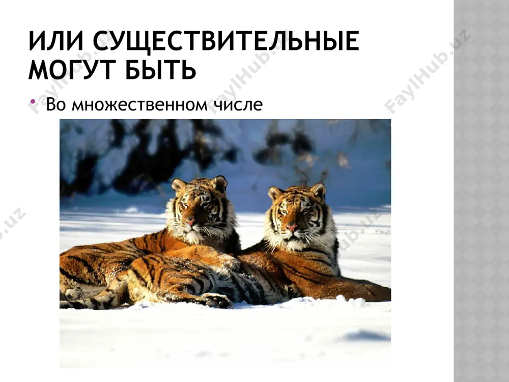 как обозначить единичность и множество предметов. 7 - sinf - Page 3