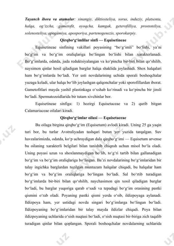 bo‘ladi, bu barglar yuqoriga qarab o‘sadi va tepadagi bo‘g‘im orasining pastki qismini o‘rab oladi. poyaning pastki qismi yerda o‘sib, ildizpoyaga aylanadi. ildizpoya ham, yer ustidagi novda singari bo‘g‘imlarga bo‘lingan bo‘ladi. ildizpoyaning bo‘g‘imlaridan bir talay mayda ildizlar chiqadi. poya bilan ildizpoyaning uchlarida o‘sish nuqtasi bo‘ladi, o‘sish nuqtasi bir-biriga zich taqalib turadigan qinlar bilan qoplangan. sporali boshoqchalar novdalarning uchlarida paydo bo‘ladi. bo‘g‘imlarning ichi to‘qimalar bilan to‘lgan. bo‘g‘im oraliqlari esa bo‘sh bo‘ladi va kavagi keng bo‘lib, bir bo‘g‘imdan ikkinchi bo‘g‘imgacha boradi. bo‘g‘im oraligining yuzi notekis; undan uzunasiga ketgan och rangli qirralar o‘tadi, ularning orasida birmuncha to‘q rangli chuqurchalar bo‘ladi. chuqurchalar tagidagi asosiy parenximadan (poya asosan shu parenximadan iborat) serbar havo yo‘llari o‘tadi. qirralar tagida esa, kichik suv kanalchalari bog‘lamlari bo‘ladi. suv kanalchalari bog‘lamlari kollateral tipda tuzilgan bo‘lib, bo‘g‘im oralig‘ining boshidan-oyog‘igacha bir-biriga parallel holatda boradi; bo‘g‘imda ular shoxlanadi va tarmoqlari bir-biri bilan yana qo‘shilib, keyingi bo‘g‘im oralng‘iga o‘tadi. qirqbo‘g‘imning xarakterli xususiyatn shuki, epidermisning devorchalariga …