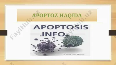 apoptoz haqida — PPTX