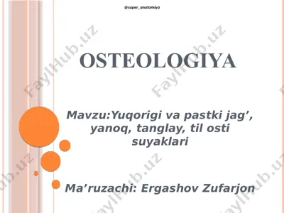 osteologiya — PDF