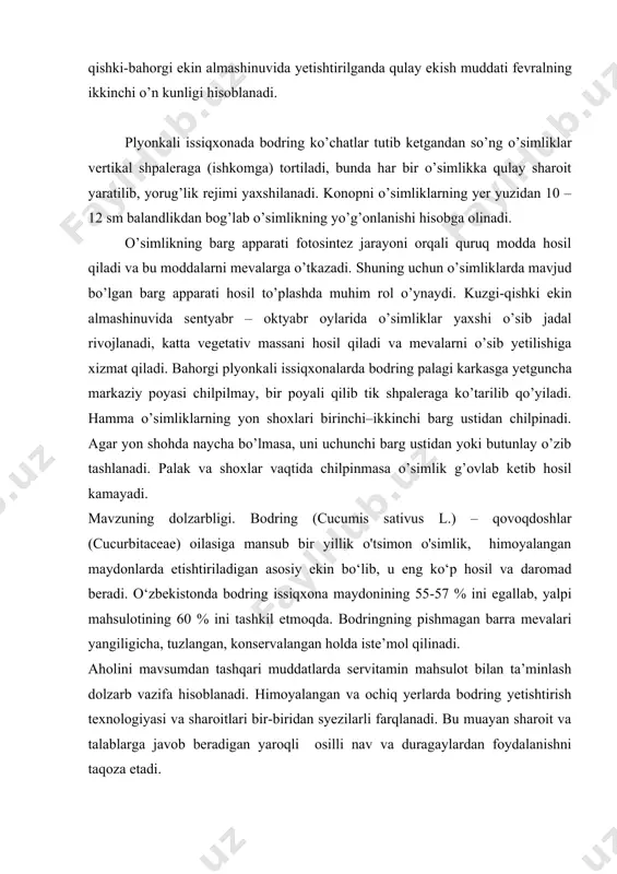 hosil to’plashda muhim rol o’ynaydi. kuzgi-qishki ekin almashinuvida sentyabr – oktyabr oylarida o’simliklar yaxshi o’sib jadal rivojlanadi, katta vegetativ massani hosil qiladi va mevalarni o’sib yetilishiga xizmat qiladi. bahorgi plyonkali issiqxonalarda bodring palagi karkasga yetguncha markaziy poyasi chilpilmay, bir poyali qilib tik shpaleraga ko’tarilib qo’yiladi. hamma o’simliklarning yon shoxlari birinchi–ikkinchi barg ustidan chilpinadi. agar yon shohda naycha bo’lmasa, uni uchunchi barg ustidan yoki butunlay o’zib tashlanadi. palak va shoxlar vaqtida chilpinmasa o’simlik g’ovlab ketib hosil kamayadi. mavzuning dolzarbligi. bodring (cucumis sativus l.) – qovoqdoshlar (cucurbitaceae) oilasiga mansub bir yillik o'tsimon o'simlik, himoyalangan maydonlarda etishtiriladigan asosiy ekin bo‘lib, u eng ko‘p hosil va daromad beradi. o‘zbekistonda bodring issiqxona maydonining 55-57 % ini egallab, yalpi mahsulotining 60 % ini tashkil etmoqda. bodringning pishmagan barra mevalari yangiligicha, tuzlangan, konservalangan holda iste’mol qilinadi. aholini mavsumdan tashqari muddatlarda servitamin mahsulot bilan ta’minlash dolzarb vazifa hisoblanadi. himoyalangan va ochiq yerlarda bodring yetishtirish texnologiyasi va sharoitlari bir-biridan …