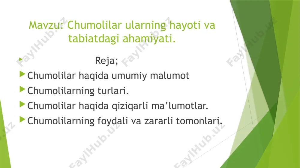 umoli mayda zararkunanda hasharotlar, yovvoyi oʻsimliklar doni, nektar bilan, choʻl va dashtlarda tarqalgan qir chumoli oʻsimliklar doni bilan oziqlanadi; bogʻ qora chumolisi shira bitlari ajratadigan shirin suyuqlikni yalaydi; ularni boshqa yirtqich hasharotlardan himoya qilishi bilan qishloq xoʻjaligiga ziyon keltiradi. xonadonlarda koʻp uchraydigan sariq firʼavn chumolisi shirinlik va yogʻli oziq-ovqat mahsulotlarini yeydigan zararkunanda hisoblanadi. 1931 yilda avstraliyada chumolining noyob turi topildi, u qadimgi davrlarda paydo bo’lgan va hozirgi kungacha deyarli o’zgarmagan – u “dinozavr chumoli” deb nomlangan. ushbu turning vakillari, ko’plab ekspeditsiyalarga qaramay, faqat 45 yil o’tgach qayta kashf qilindi. chumolilarni o’rganadigan alohida fan mavjud – mirmekologiya. chumolilar evolyutsiya jihatidan yerning eng ilg’or hasharotlari hisoblanadi. ba’zi turdagi chumolilar bir-biri bilan maxsus “til” bu hasharotlarga murakkab koʻp bosqichli vazifalarni birgalikda bajarish imkonini beradi. afrikaning kot-d’ivuarida deyarli 2 milliard chumoli savannaning kvadrat kilometrida yashaydi va 740 mingga yaqin koloniyalarni tashkil qiladi. voyaga yetgan chumolilarning oʻlchamlari 1 mm dan 5 sm gacha. tadqiqotchilarning fikricha, …