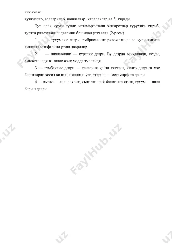 ипак курти биологияси - Page 5