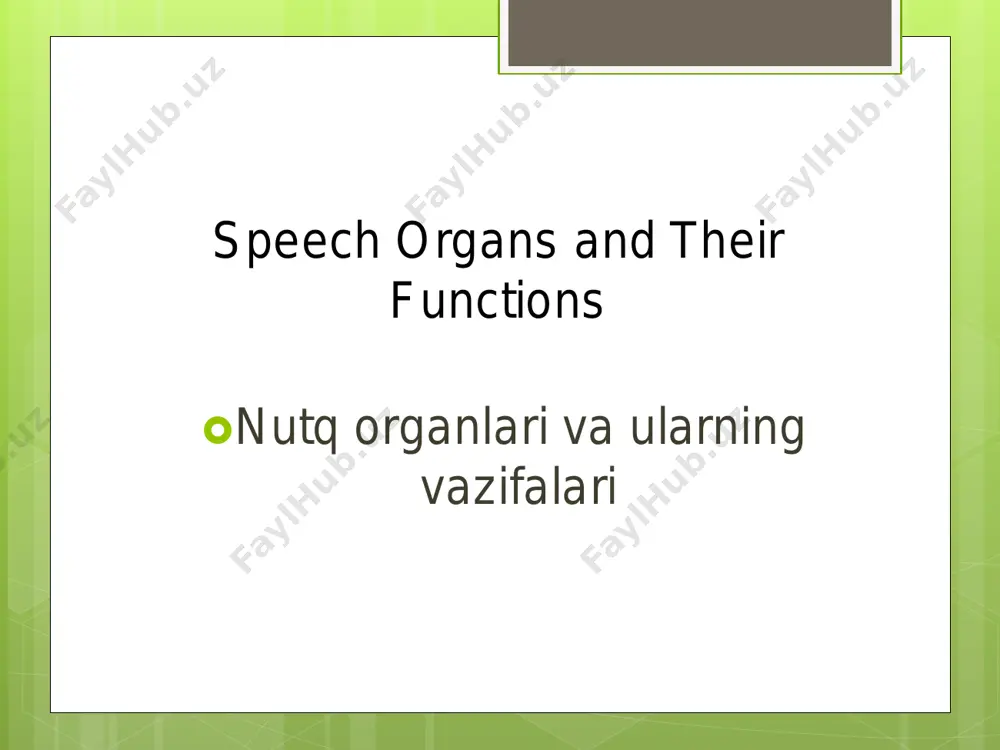 vushlarini talaffuz qilishda ishtirok etadi. english:  7. teeth – assist in producing sounds like /f/, /v/, /θ/, and /ð/  o‘zbek:  tishlar – /f/, /v/, /θ/, va /ð/ kabi tovushlarni hosil qilishda yordam beradi.  english:  8. lips – important for producing bilabial and labiodental sounds such as /p/, /b/, and /f/.  o‘zbek:  lablar – /p/, /b/ va /f/ kabi lab va tish ishtirokidagi tovushlarni hosil qiladi.  english:  each of these organs plays a vital role in articulation, allowing humans to produce a wide variety of speech sounds. o‘zbek: ushbu organlarning har biri artikulyatsiya (talaffuz) jarayonida muhim rol o‘ynaydi va insonlarga turli xil tovushlarni chiqarish imkonini beradi.  english:  speech organs are parts of the body that help produce sounds for speech. these organs are involved in three main processes: respiration (breathing), phonation (sound production), and articulation (shaping sounds into speech).  …