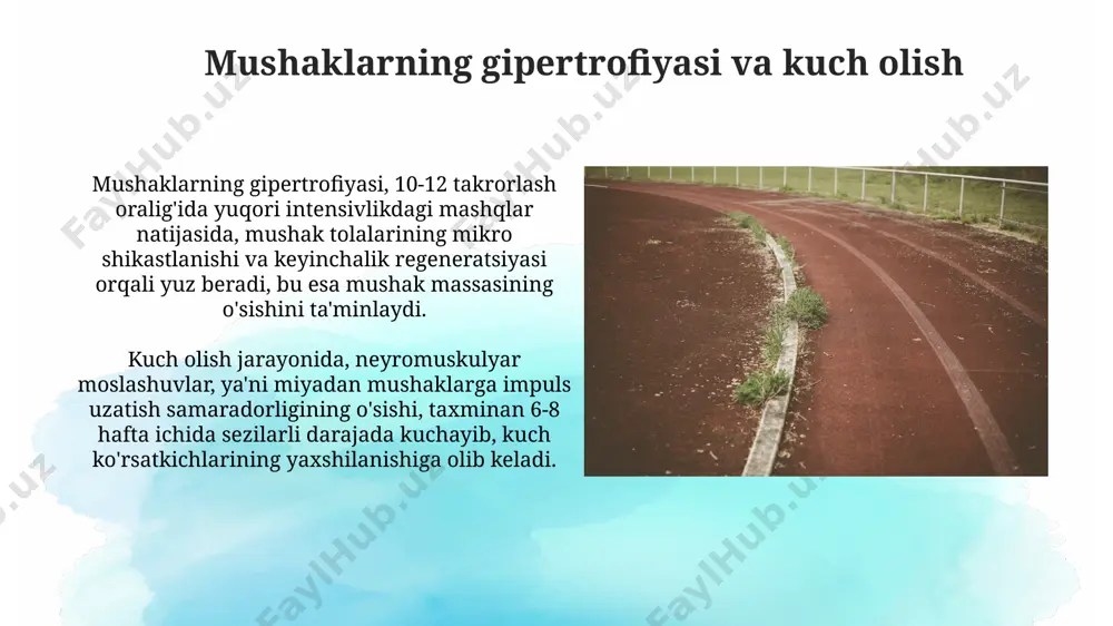 sport mashqlariga moslashish - Page 3