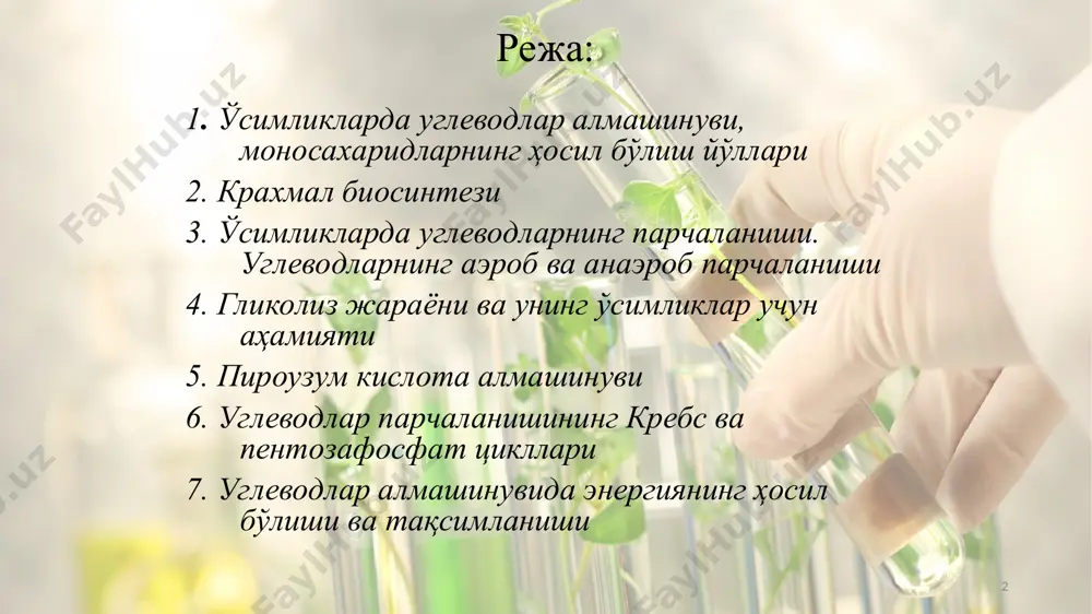 лар алмашинувида ҳам муҳим ўрин тутади. * шакарлар нуклеин кислоталарнинг ҳамма азотли асослари (аденин, гуанин, цитозин, тимин, урацил) билан бирикиши мумкин. масалан, глюкоза ҳамма асослар билан бирикиб, нуклеотидли бирикмалар ҳосил қилади. булардан удф-глюкоза гликоген синтезланишида, адф-глюкоза эса крахмал синтезланишида иштирок этади. * крахмалнинг синтезланиш жараёни шакарларнинг нуклеотидли ҳосилаларидан адф-глюкоза ва удф-глюкозалар иштирокида боради. бу реакциялар трансглюкозидаза ферментлари иштирокида катализланади. реакция қайта-қайта такрорланиши натижасида полисахарид ҳосил бўлади. кўпчилик ўсимликларда, масалан, маккажўхори, шоли ва бошқаларда крахмал ҳосил бўлишида адф-глюкоза иштирок этиши аниқланган. * крахмал молекуласида тармоқланган 1,6-боғлар ҳосил бўлишида иштирок этувчи q-фермент картошкадан ажратиб олинган. кейинчалик q-фермент бошқа ўсимликлардан ҳам ажратиб олинган. q-фермент ва фосфорилаза ферменти таъсирида тармоқланган табиий крахмал ҳосил бўлмай, фақат амилопектин ҳосил бўлади. ҳозир крахмал молекуласининг ҳосил бўлишида фосфорилаза, q-фермент, адфг ва удфг-трансглюкозидаза ферментлари иштирок этса керак, деб тахмин қилинмоқда. * крахмал гидролазалар синфига мансуб бўлган ферментлардан фосфорилаза ва амилаза таъсирида парчаланади. крахмалнинг декстринларгача ва кейин мальтозагача парчаланиши альфа …