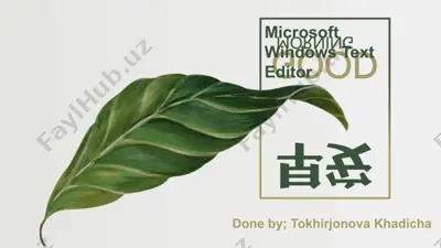 microsoft windows text editor — PPTX