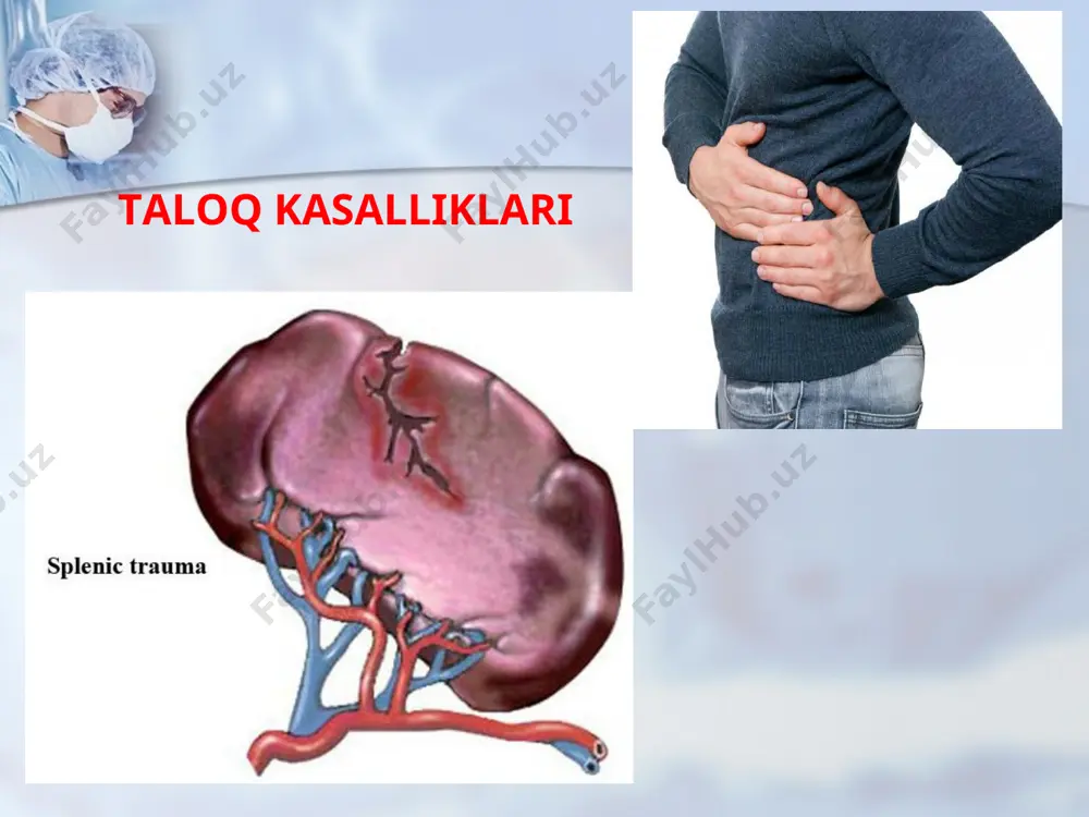 taloqning tug‘ma anomaliyalari o‘smalari. timusning rivojlanishidagi buzilishlar - Page 3