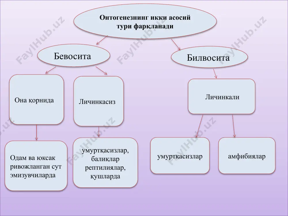 айдаланиш ланцетник ва сут эмизувчиларга хос . телобластик тухум ҳужайрасида сариқлик бўлиниш ботиқларининг бутун зигота бўйича давом этишига ҳалақит беради натижада анимал қутбда бўлиниш жадалроқ боради бундай бўлиниш меробластик майдаланиш дейилади. айрим судралиб юрувчи ва қушларга хос ўта телолецитал тухум ҳужайраларида майдаланиш анимал қутб соҳасидаги дисксимон чегараланган майдондагина рўй беради, буни дискондал майдаланиш дейилади. goloblastik maydalanish meroblastik maydalanish , майдаланишнинг биологик аҳамияти: зигота генотипининг кўпайиши юзага келади; ядро ва цитоплазма нисбати тиклана бошлайди; муртак бир ҳужайралиликдан кўп ҳужайраликга айланади; бластомерларнинг мозаикаси ўрнатилади; цитоплазматик сегрегация жараёни жадаллашади; , gastrulatsiyaning 4 ta tipi tafovut qilinadi. epiboilya(o`rab ketish) invaginatsiya(botib kirish) immigaratsiya(ko`chib o`rnashish) delaminatsiya(qat-lamlarga ajralish) mezoderma – murtak o’rta varag’ining hosil bo’lishi mezodermaninghosilbo’lishi tеloblastik entrotsel , mezodermadan hosil bo’lgan somitlar: miotom (ko’ndalang—targ’il mushak to’qimasi hosil qiluvchi); . sklerotom (tog’ay,suyak va biriktiruvchi to’qima hosil qiluvchi); dermatom (teri biriktiruvchi to’qimasini hosil qiluvchi) splanxnotom (selom epiteliysi, silliq mushak, biriktiruvchi to’qima hosil qiluvchi);; nefrognotom (siydik—tanosil a’zolarini hosil qiluvchi); …