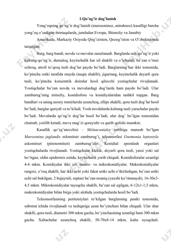 i ko’rinmaydi), 16-30x3-4,5 mkm. mikrokonidiyalar tayoqcha shaklli, ba’zan sal egilgan, 6-12x1-1,5 mkm, makrokonidiyalar bilan birga yoki alohida yostiqchalarda hosil bo’ladi. teleomorfasining peritetsiylari to’kilgan barglarning pastki tomonida, substrat ichida rivojlanadi va tashqariga uzun bo’yinchasi bilan chiqadi. ular shar shaklli, qora tusli, diametri 300 mkm gacha, bo’yinchasining uzunligi ham 300 mkm gacha. xaltachalar uzunchoq shaklli, 50-70x8-14 mkm, kalta oyoqchali. askosporalar 2 hujayrali, rangsiz, sal egilgan, ba’zan kalta, shilimshiq moddadan tashkil topgan o’smalari mavjud, ko’pincha septadan tortilgan, 17-25x2,5-4 mkm. kuzda to’kilgan barg va zararlangan novdalarda qo’zg’atuvchi-ning peritetsiylari hosil bo’ladi va qishlaydi. erta bahorda harorat 100s ga etgach, peritetsiy ichidagi xaltachalarda askospo-ralar etiladi. askosporalar yomg’ir va shamol vositasida yosh barglarga tushadi va ularda birlamchi zararlanish qo’zg’atadi. ikki haftacha vaqt o’tgach, zararlangan barglarda yuqorida ko’rsatilgan kasallik belgilari paydo bo’ladi.yong’oqning zararlangan qismlarida, asosan barglarida hosil bo’lgan yostiqchalardan ajratiladigan konidiyalar kasallikning ikkilamchi manbai bo’lib, mavsum davomida ular boshqa barg, novdalar va boshqa daraxtlarga tarqaladi. kasallik iqtisodiy ahamiyatga …