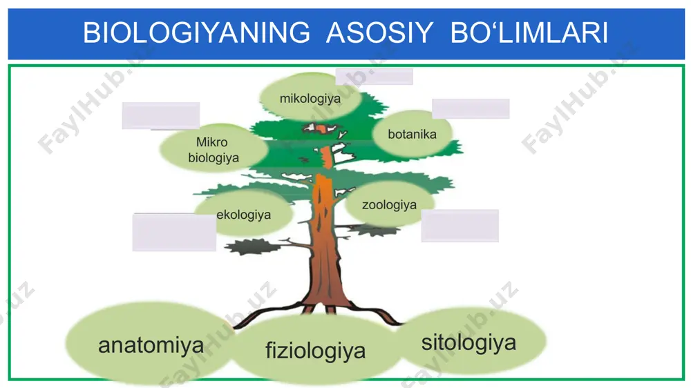 qanday bo‘limlarga bo‘linadi? - Page 3