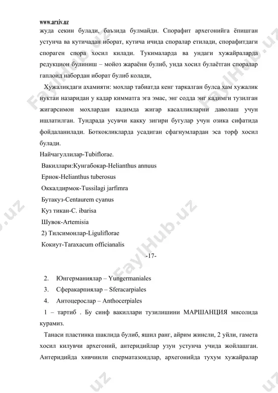 инг устки кисмида антеридийлар жойлашган, ургочи гаметофит барг култиклари орасида архегонийлар жойлашган булади. архегоний даги тухум хужайрага антеридийда етилган сперматозоид келиб оталанлиргандан кейин зигота тараккиетидан спорафит насл тараккий этади. спорафит насл узун устунча ва кутичадан иборат булади. кутича ичида етилган споралар кулай шароитда (намлик булганда) копкокча оарсидаги перистома тишчалари (32) копкокчани очилтиради ва у ердан споралар тукилади, тукилган споралар дастлабки тараккиетидан протонема хосил булади. уларда протонема ипсимон. -18- унинг тараккиётидан янги насл гаметофит хосил булади. у айрим жинсли эркак ёки ургочи. какку зигири нам урмонларда шимолий ярим шарнинг муътадил иклимларида куп таркалган. ок мохлар тартиби - sphagnales. вакил: sphagnum acutifolium. булар хам поя-баргли мохлар булиб, баландлиги 10-20см гача бориши мумкин. какку зигиридан фаркли улар 1 уйли. барг култиклари оралигида антеридийлар, поянинг устки кисмида архегонийлар жойлашган. булардаги яна бир фарк спорадан кейинги тараккиётида протонема хосил булади, буларда протонема пластинкашаклида булади, шунингдек улар рангги ок, чунки уларда сувбилан тулган улик (гиалин) хужайралар …