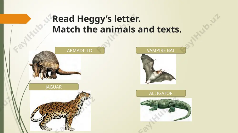 wild animals in south america - Page 4