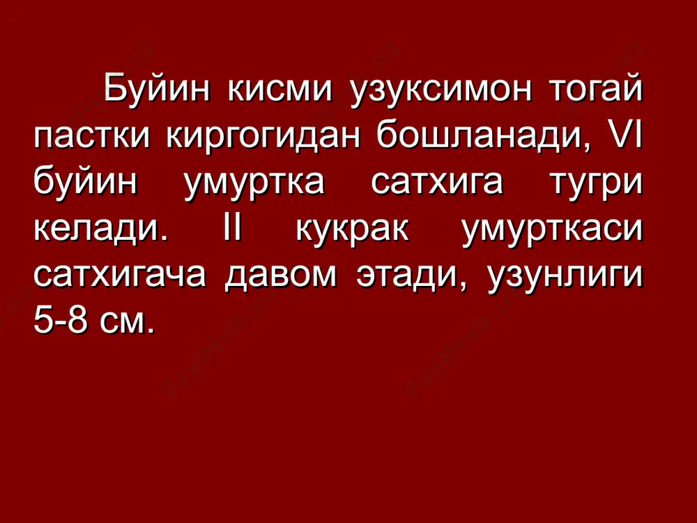 ип кардиоэзофагеал соха саратони ii-типида гарлок типидаги операция ёки гастрэктомия кизилунгач п\3 кисми резекцияси билан бажарилади кардиоэзофагеал соха саратони iii тип кардиоэзофагеал соха саратони iii-типида гастрэктомия кизилунгач п\3 кисми резекцияси билан бажарилади узок прогноз жуда ёмон. беш йиллик яшаш курсаткичи 3-6 %ни ташкил килади ва усма гистологик турига ва унинг дифференциация даражасига боглик эмас. касалликнинг ёмон прогнози сабаблари: 1) клиник симптомлар усма охирги боскичларида пайдо булиши; 2) хатто кизилунгач майда усмалари хам кизилунгач шиллик ости сохасини калин ураб турувчи лимфа томирлари буйлаб тез метастаз беради; 3) кизилунгач бошка меъда – ичак тракти аъзоларига ухшаб сероз каватига эга булмаганлиги учун усманинг кукс оралиги аъзолари ва атроф тукималарга тугридан – тугри усиши кузатилади. прогноз