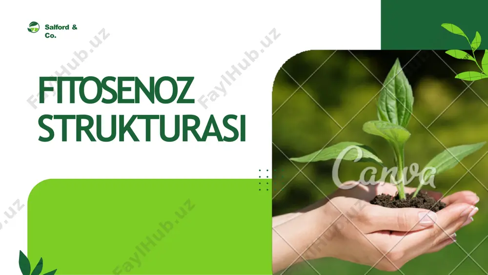 fitosenoz strukturasi - Page 2