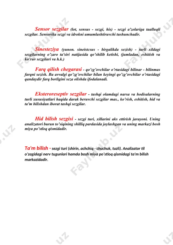 diqqat va sezgi atamalari taqdimoti - Page 5