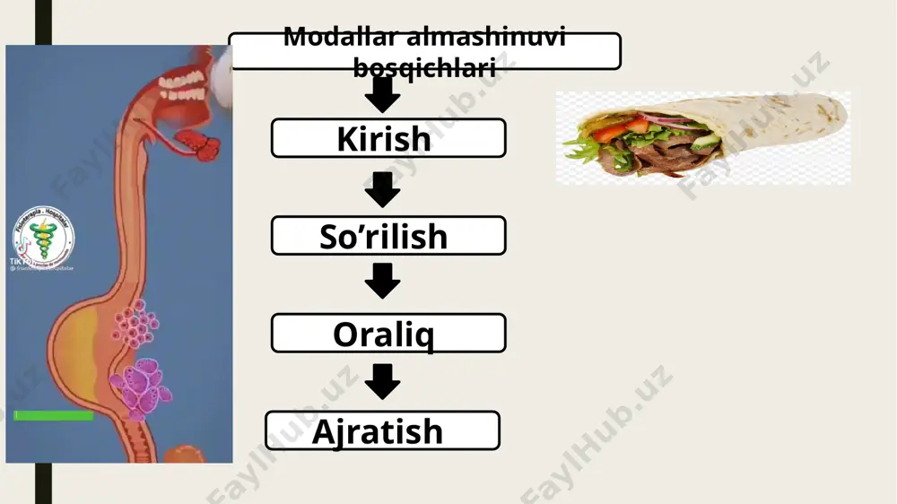 hujayrada kechadigan moddalar almashinuvi. atp energiyasi - Page 5