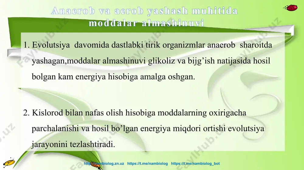 "hayvonlarning nafas olish organlari evolutsiyasi" - Page 3