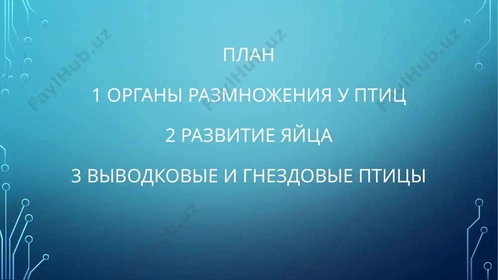 ах, находится в центре яйца. нижняя часть желтка более тяжелая, поэтому зародышевый диск всегда располагается сверху, в наилучших условиях для обогрева при насиживании. снаружи яйцо защищено известковой скорлупой, в которой есть многочисленные микроскопические поры. через них происходит газообмен между развивающимся зародышем и внешней средой. известь скорлупы частично используется на образование скелета развивающегося зародыша. поверх известковой скорлупы яйцо имеет тонкую надскорлуповую оболочку, которая защищает его от проникновения микробов. скорлупа яиц у открыто гнездящихся птиц имеет защитную окраску. скорлупа яиц дуплогнездников и норников – светлая или чисто белая. развитие зародыша. зародыш в яйце развивается очень быстро, при высокой температуре (37-з8 °с) и определенной влажности. эти условия обеспечивают птицы, насиживающие кладки. наседка регулярно переворачивает яйца, меняет плотность насиживания: при излишне высокой температуре воздуха птица приподнимается в гнезде и защищает кладку от солнечных лучей собственной тенью, охлаждает кладку, периодически смачивая оперение. выводковые и гнездовые птицы. у кур, уток, гусей, лебедей птенцы вылупляются из яйца …