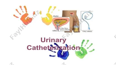 catheterization of the urinary bladder — PPTX