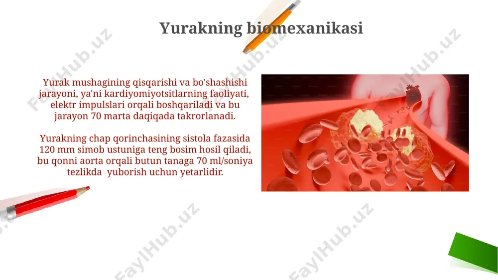 gacha o'zgaradi. mikrosirkulyatsiya jarayonlarini o'rganishda, masalan, sichqonlarning teri to'qimalarida lazer doppler florometriyasi yordamida qon oqimining tezligi va hajmini aniqlash mumkin. e'tiboringiz uchun rahmat @taqdimot_robot image2.png image1.png image5.jpg image6.jpg image7.jpg image8.jpg image9.jpg image10.jpg image11.jpg image12.jpg
