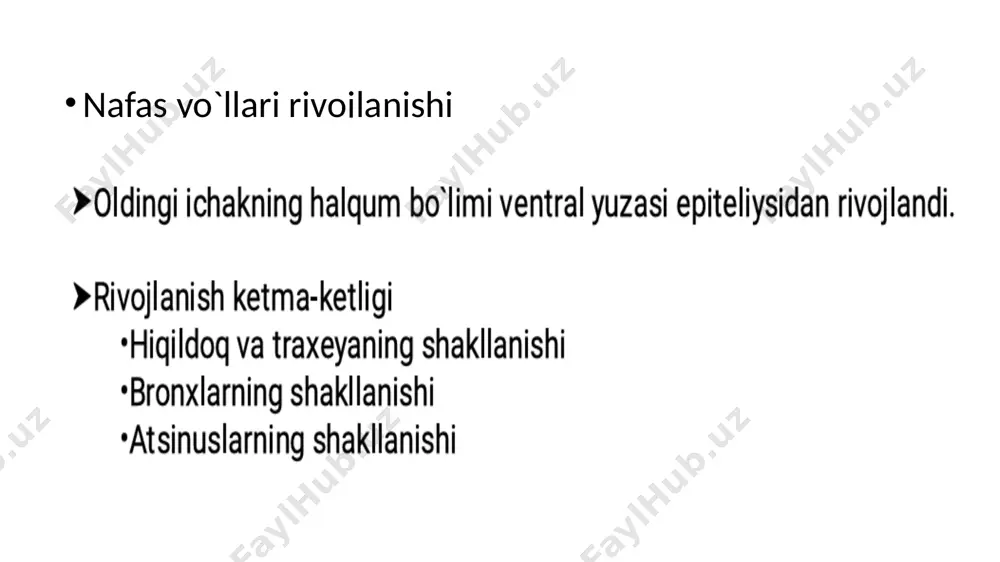 nafas olish sistemasi - Page 4