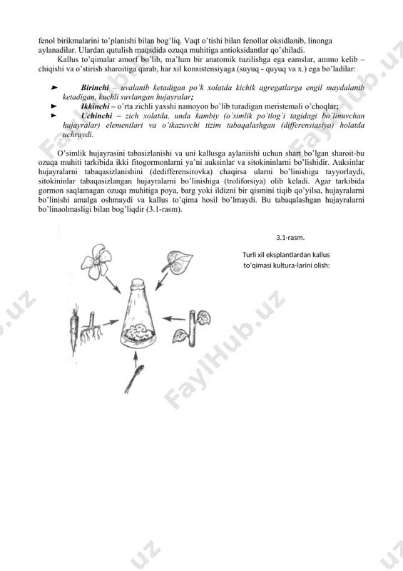 kibiga ega va boshqalardan ammoniyli va nitratli azotni nisbati bilan farq qiladi (3.2-jadval). 3.2-jadval. o’simliklarni ajratib olingn to’qimalarini o’stirish uchun ishlatiladigan ozuqa muhitlarini tarkibi ozuqa muhiti komponentlari miqdori, mg/l murasiga- skuga gamborga shenka - xildebrandta gressxoff-dou nh4no3 1650 2500 2500 - nh4h2po4 - - 300 - kno3 1900 - - 1000 cacl22h2o 440 150 200 150 mg so47h2o 370 250 400 250 (nh4)2so4 - 130 - - kh2po4 170 - - - na2edta 37,3 37,3 20,0 37,3 feso47h2o 27,95 27,85 15.0 27,8 nah2po4h2o - 150 - 90,0 n3vo3 6,2 3,0 5.0 3,0 mnso44h2o 22,3 10,0 10,0 10,0 znso47h2o 8,6 2,0 1,0 3,0 kl 0,83 0,75 1,0 0,75 na2moo42h2o 0,25 0,25 0,1 0,25 cuso45h2o 0,025 0,025 0,2 0,25 cou26h2o 0,025 0,025 0,1 0,25 glisin 2,0 - - 2,0 mezoinozit 100 100 1000 10 nikotin kislotasi 0,5 1,0 5,0 1,0 piridoksin-hcl 0.5 1,0 0,5 0,1 tiamin hcl 1,0 10,0 5,0 - 2,4–dd …