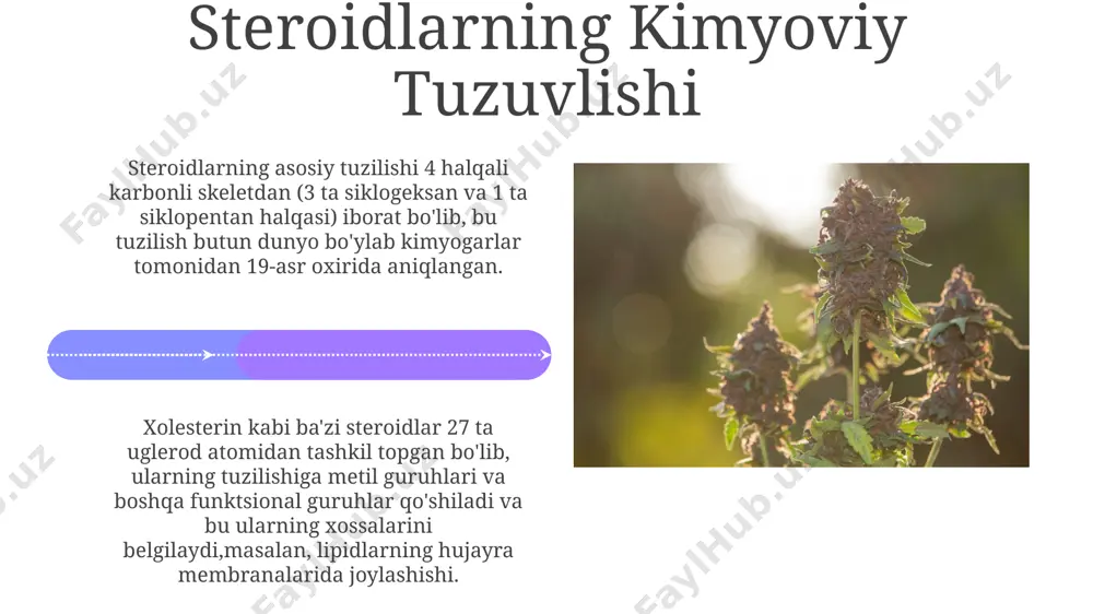terpenlar va stereoidlar - Page 4