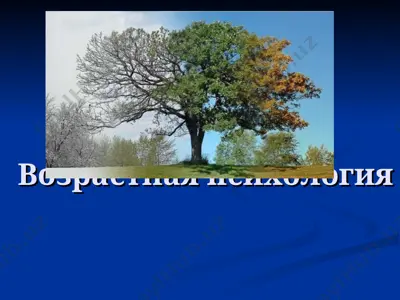 возрастная психология — PPT