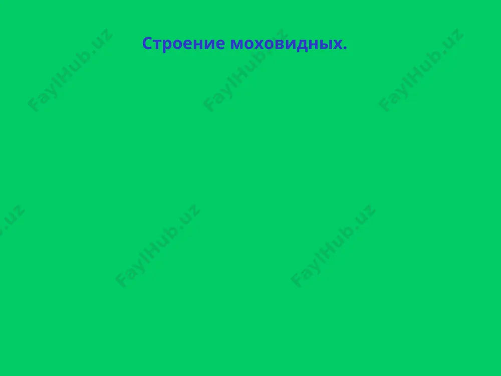 моховидные растения - Page 3