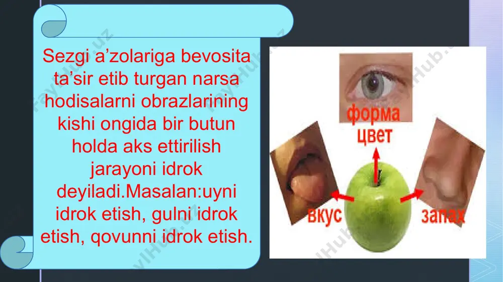 ining birinchi yilidan boshlab, ontogenez jarayonida sodir bo‘ladi. i.m.sechenov fikriga ko‘ra, predmetlilik bolaning jism bilan aloqasini ta’minlaydigan harakatlar asosida shakllanadi. idrokning boshqa xossasi uning yaxlitligidir. jismning alohida xossalarini aks ettiruvchi sezgilardan farqli ravishda, idrok jismning yaxlit obrazini yaratadi. sezgining tarkibiy qismlari o‘zaro shu darajada mahkam bog‘langanki, jismning yagona murakkab obrazi odamga ob’ektning alohida xossalari yoki alohida qismlari bevosita ta’sir ko‘rsatganida ham hosil bo‘ladi. idrokning yaxlitligi, hatto, idrok etilayotgan ob’ektning alohida xossalari chala aks ettirilganida ham qabul qilingan axborot xayolan aniq jismning yaxlit obrazi holatiga etkazilishi bilan ifodalanadi. z idrokning yaxlitligi uning strukturaviyligi bilan bog‘liq. ushbu xossa ko‘pchilik hollarda idrokning daqiqali sezgilarimizning proeksiyasi va ularning oddiy yig‘indisi emasligidan iborat bo‘ladi. bizlar bu sezgilardan ajratib olingan, bir muncha vaqt davomida shakllanadigan umumiy tuzilishni idrok etamiz. masalan, agar odam biror-bir kuyni tinglayotgan bo‘lsa, yangi nota jaranglashi haqida axborot etkazilguniga qadar uning ongida avval tinglangan kuyning notalari jaranglayveradi. odatda, tinglovchi kuyni tushunib etadi, ya’ni, …