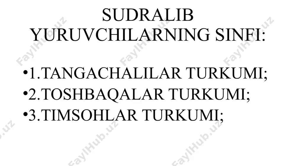 toshbaqalar va timsohlar turkumlari - Page 2
